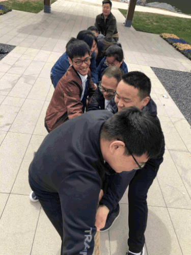 香港全年最全免费资料大全