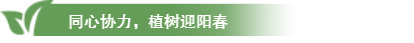 香港全年最全免费资料大全