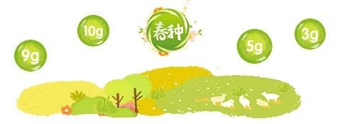 香港全年最全免费资料大全