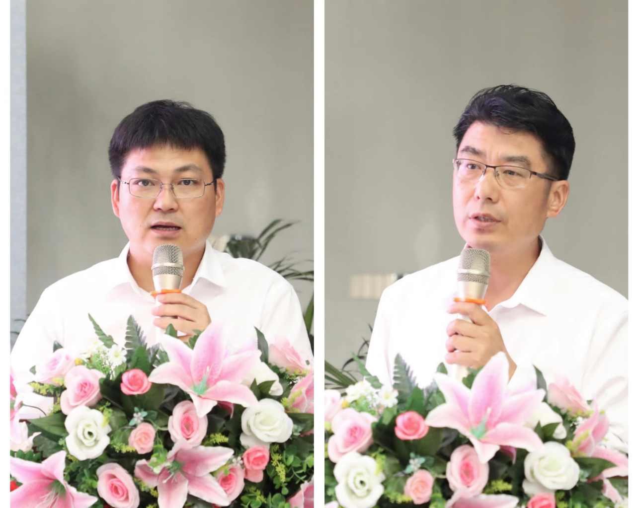 香港全年最全免费资料大全