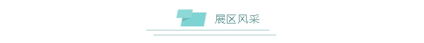 香港全年最全免费资料大全