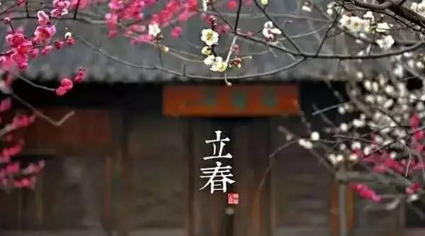 香港全年最全免费资料大全