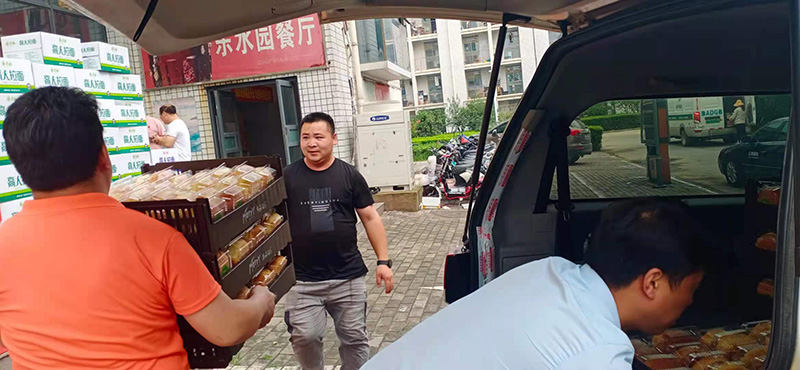 香港全年最全免费资料大全